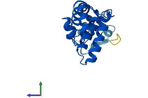 Protein Structure (PS) image for Regulator of G-Protein Signaling 13 (RGS13) (AA 1-159) protein (His tag) (ABIN7551396)