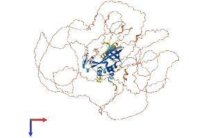 C11orf82 Protein (AA 1-898) (His tag)
