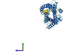 Protein Structure (PS) image for G Protein-Coupled Receptor 55 (GPR55) (AA 1-319) protein (His tag) (ABIN7548178)