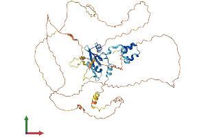 Protein Structure (PS) image for Suppressor of Cytokine Signaling 6 (SOCS6) (AA 1-533) protein (His tag) (ABIN7561685)