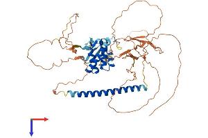 BANP Protein (AA 1-548) (His tag)