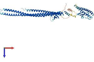NOSTRIN Protein (AA 1-506) (His tag)
