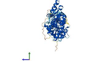 Protein Structure (PS) image for CoA Synthase (COASY) (AA 1-564) protein (His tag) (ABIN7546703)
