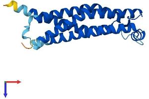 TMEM205 Protein (AA 1-189) (His tag)