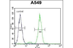 Flow Cytometry (FACS) image for anti-PTK2 Protein tyrosine Kinase 2 (PTK2) (AA 557-587) antibody (ABIN6243657)