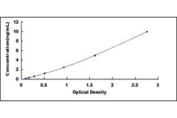 PEX2 ELISA Kit