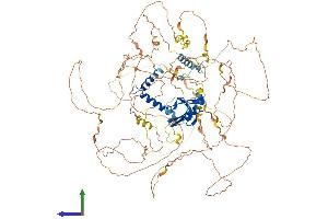 Protein Structure (PS) image for Synaptopodin 2-Like (SYNPO2L) (AA 1-975) protein (His tag) (ABIN7564443)