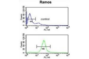 Flow Cytometry (FACS) image for anti-UDP-Gal:betaGal beta 1,3-Galactosyltransferase Polypeptide 6 (B3GALT6) antibody (ABIN3002204) (B3GALT6 Antikörper)