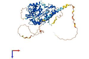 CHST2 Protein (AA 1-530) (His tag)