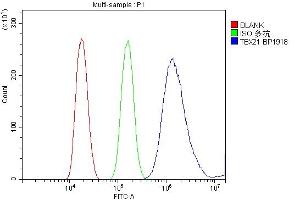 Flow Cytometry analysis of HEPA1-6 cells using anti-TBX21 antibody (ABIN7602980). (T-Bet Antikörper  (Middle Region))