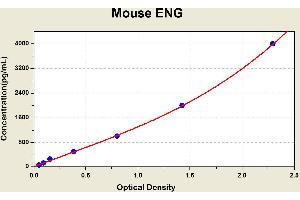 Diagramm of the ELISA kit to detect Mouse ENGwith the optical density on the x-axis and the concentration on the y-axis. (Endoglin ELISA Kit)