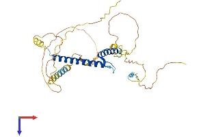 PTF1A Protein (AA 1-328) (His tag)