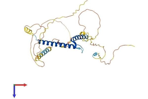 PTF1A Protein (AA 1-328) (His tag)