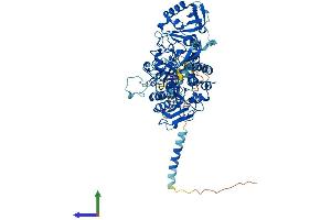 AlphaFold protein structure predicition of Human Recombinant EXT2 Protein, UniprotID Q93063