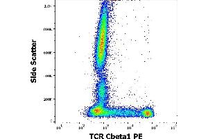Flow cytometry surface staining pattern of human peripheral whole blood stained using anti-human TCR Cbeta1 (JOVI. (TCR, Cbeta1 Antikörper (PE))