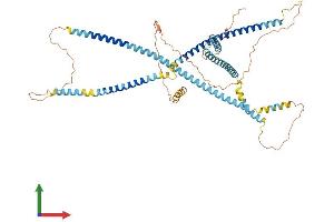 AlphaFold protein structure predicition of Mouse Recombinant Tsks Protein, UniprotID O54887