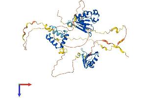 RNP Protein (AA 1-514) (His tag)