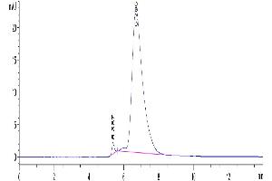 The purity of Human DNAM-1 is greater than 95 % as determined by SEC-HPLC. (CD226 Protein (CD226) (AA 19-247) (His-Avi Tag))