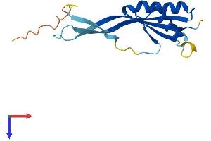 POP7 Protein (AA 1-140) (His tag)
