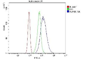 Flow Cytometry analysis of CACO-2 cells using anti- HSPB8/Hsp22 antibody (ABIN7599067).