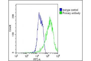 Overlay histogram showing MCF-7 cells stained with (ABIN1945085 and ABIN2838547)(green line). (ADRA1D Antikörper  (N-Term))