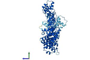 Protein Structure (PS) image for Fem-1 Homolog B (FEM1B) (AA 1-627) protein (His tag) (ABIN7556429)