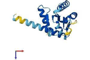 GADD45B Protein (AA 1-160) (His tag)