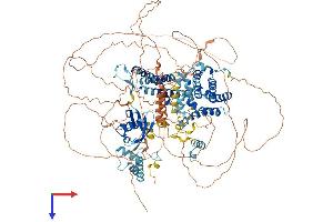 BAT3 Protein (AA 1-1154) (His tag)