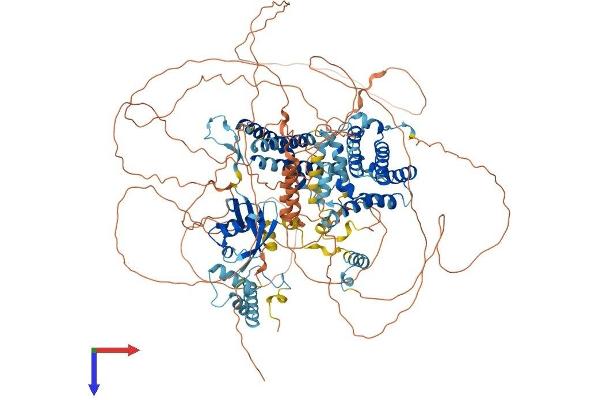 BAT3 Protein (AA 1-1154) (His tag)