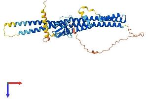 SH3GLB2 Protein (AA 1-395) (His tag)
