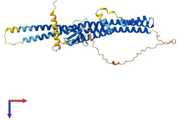 SH3GLB2 Protein (AA 1-395) (His tag)