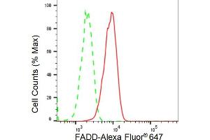 anti-Fas (TNFRSF6)-Associated Via Death Domain (FADD) antibody
