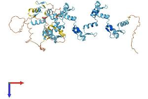 ZFP57 Protein (AA 1-555) (His tag)