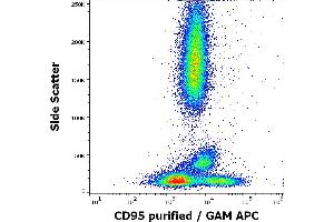 Flow cytometry surface staining pattern of human peripheral whole blood stained using anti-human CD95 (EOS9. (FAS Antikörper)