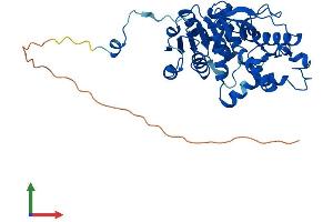 Protein Structure (PS) image for Lactate Dehydrogenase A-Like 6B (LDHAL6B) (AA 1-381) protein (His tag) (ABIN7548919)