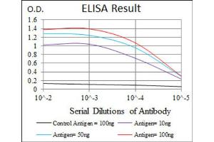 Red: Control Antigen (100ng) ; Purple: Antigen (10ng) ; Green: Antigen (50ng) ; Blue: Antigen (100ng). (FZD5 Antikörper  (AA 151-217))