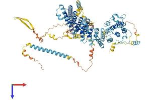 NOC3L Protein (AA 1-800) (His tag)