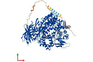 Protein Structure (PS) image for Glutamyl Aminopeptidase (Aminopeptidase A) (ENPEP) (AA 1-945) protein (His tag) (ABIN7562904)