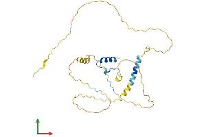 AlphaFold protein structure predicition of Mouse Recombinant Ermn Protein, UniprotID Q5EBJ4