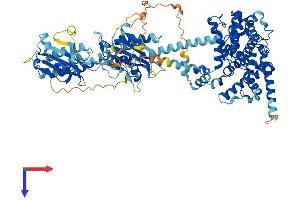 PDE5A Protein (AA 1-875) (His tag)