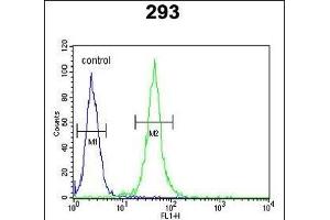 FOXC1 Antibody (C-term) (ABIN652854 and ABIN2842554) flow cytometric analysis of 293 cells (right histogram) compared to a negative control cell (left histogram). (FOXC1 Antikörper  (C-Term))