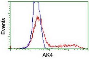 HEK293T cells transfected with either RC220572 overexpress plasmid (Red) or empty vector control plasmid (Blue) were immunostained by anti-AK4 antibody (ABIN2454651), and then analyzed by flow cytometry. (AK4 Antikörper)