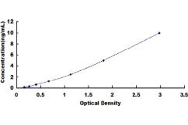 PLOD1 ELISA Kit