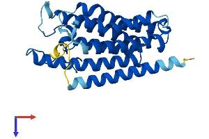SRD5A1 Protein (AA 1-259) (His tag)