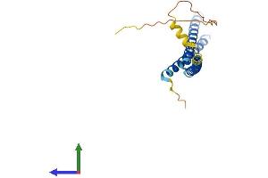Protein Structure (PS) image for Mediator Complex Subunit 22 (MED22) (AA 1-200) protein (His tag) (ABIN7557779)