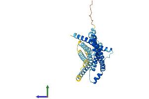 AlphaFold protein structure predicition of Human Recombinant TAS2R14 Protein, UniprotID Q9NYV8