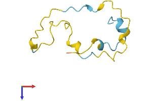 PDE6G Protein (AA 1-87) (Fc Tag)