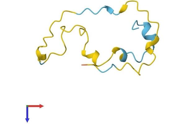 PDE6G Protein (AA 1-87) (Fc Tag)
