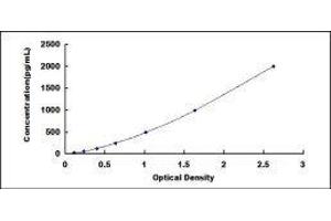 WNT1 Inducible Signaling Pathway Protein 1 (WISP1) ELISA Kit
