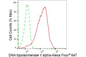 Flow cytometric analysis of DNA topoisomerase II alpha expression in HepG2 cells using DNA topoisomerase II alpha antibody (ABIN7800574), 1:2,000). (Rekombinanter Topoisomerase II alpha Antikörper)